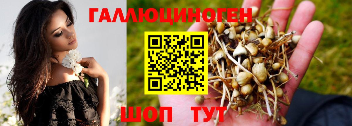 Псилоцибиновые грибы Psilocybine cubensis Топки